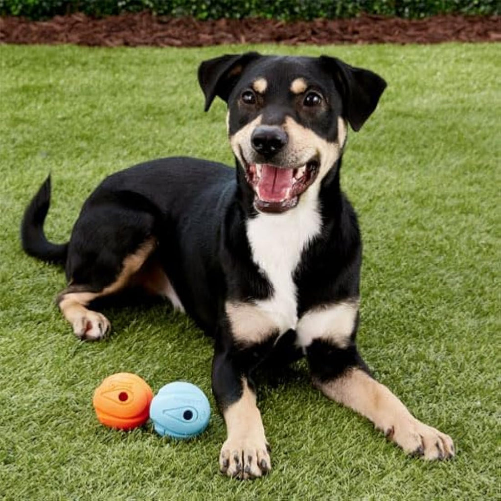 Chuckit! Whistler Dog Ball – Durable Rubber Whistling Toy, Large
