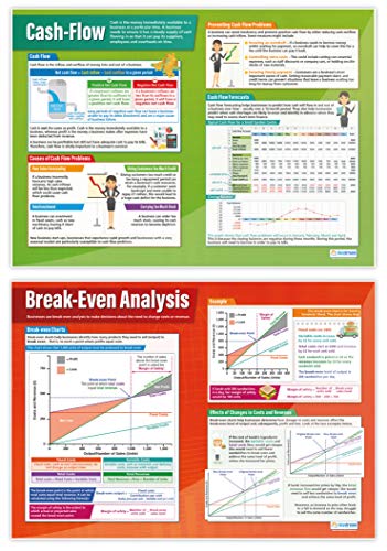 Accounting & Finance Classroom Posters | Set of 7 Laminated A1 Wall Charts