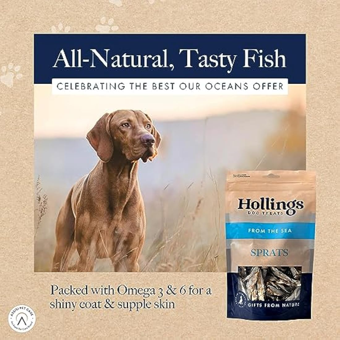 Hollings Natural Sprats Dog Treats | Grain Free & Air Dried - 100g (10 Pack)