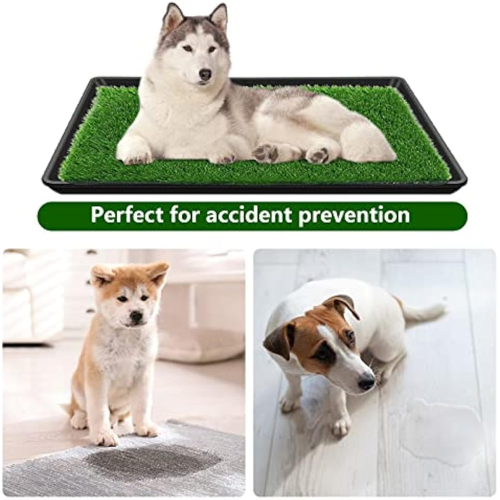 Embellbatt Dog Grass Pad with Tray | 60x90cm Indoor Puppy Potty Trainer