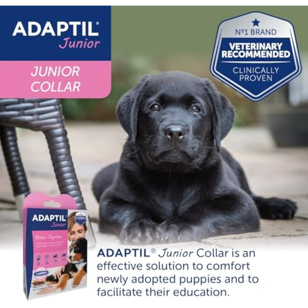 Adaptil Junior Puppy Calming Collar – Adjustable Pheromone Dog Collar