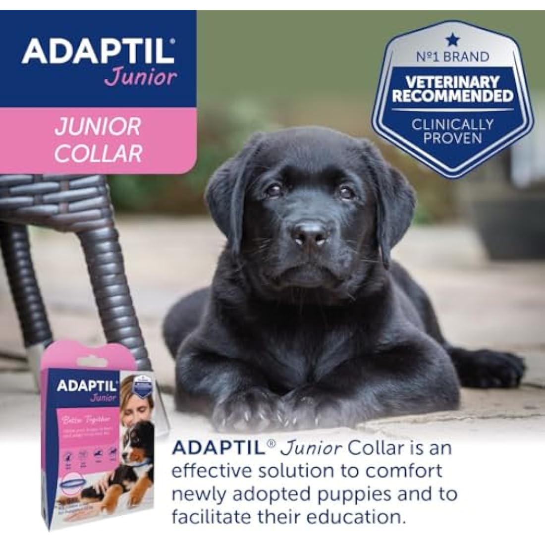 Adaptil Junior Puppy Calming Collar – Adjustable Pheromone Dog Collar
