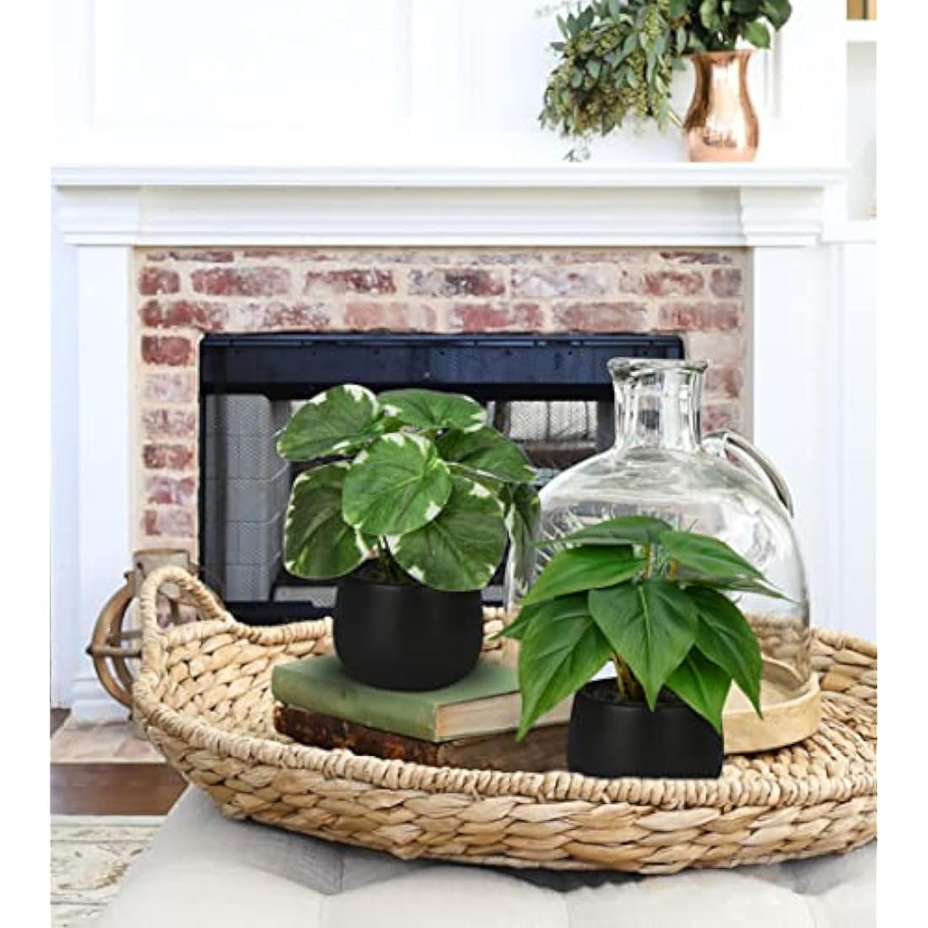 Jolof Store Set of 3 Small Artificial Potted Plants in Ceramic Pots