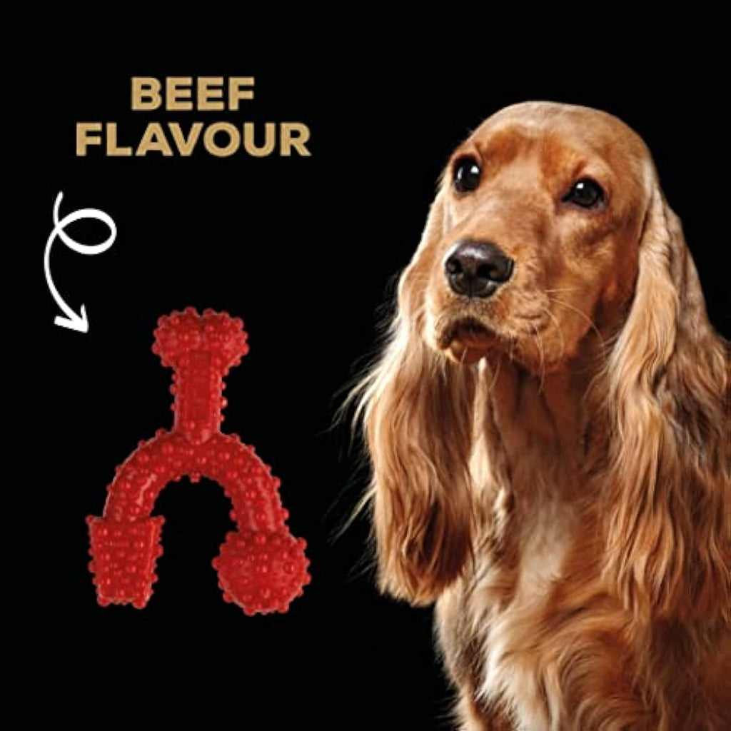 TastyBone TrioBone Beef Nylon Dog Chew Toy for Aggressive Chewers