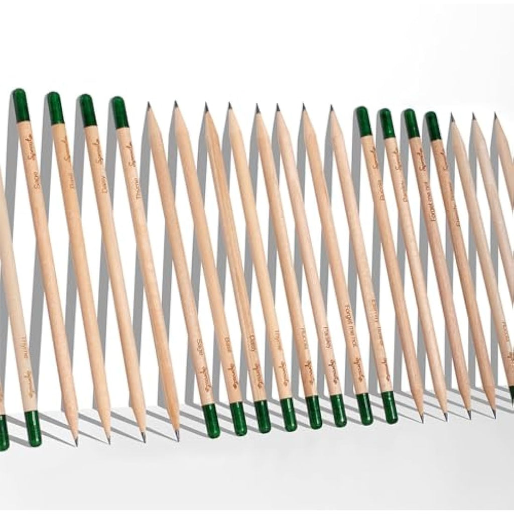 SproutWorld Plantable Pencils | Teacher's Edition 32-Pack | HB Graphite