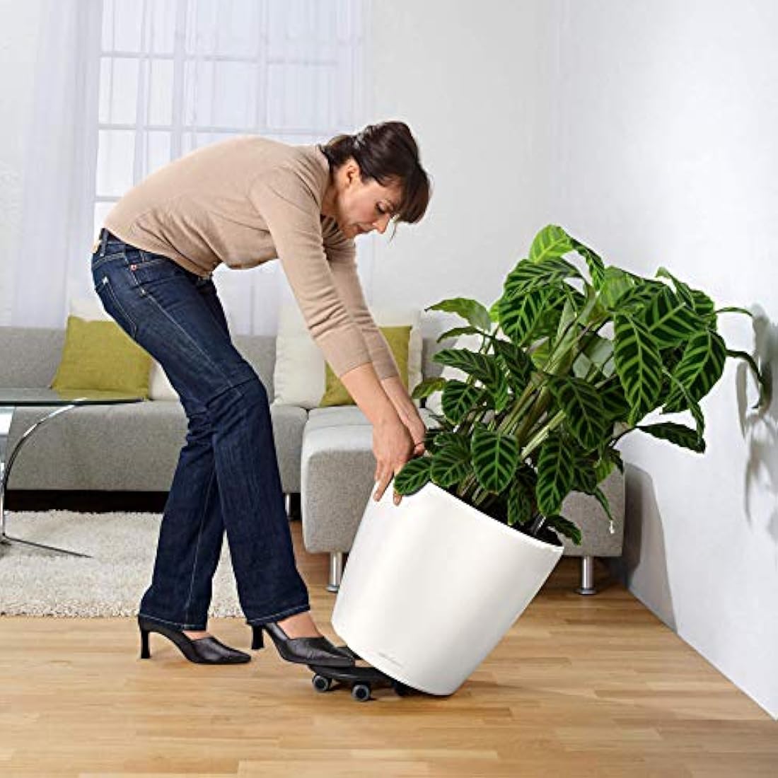 LECHUZA CLASSICO Premium LS 50 Planter - Anthracite Metallic Pot