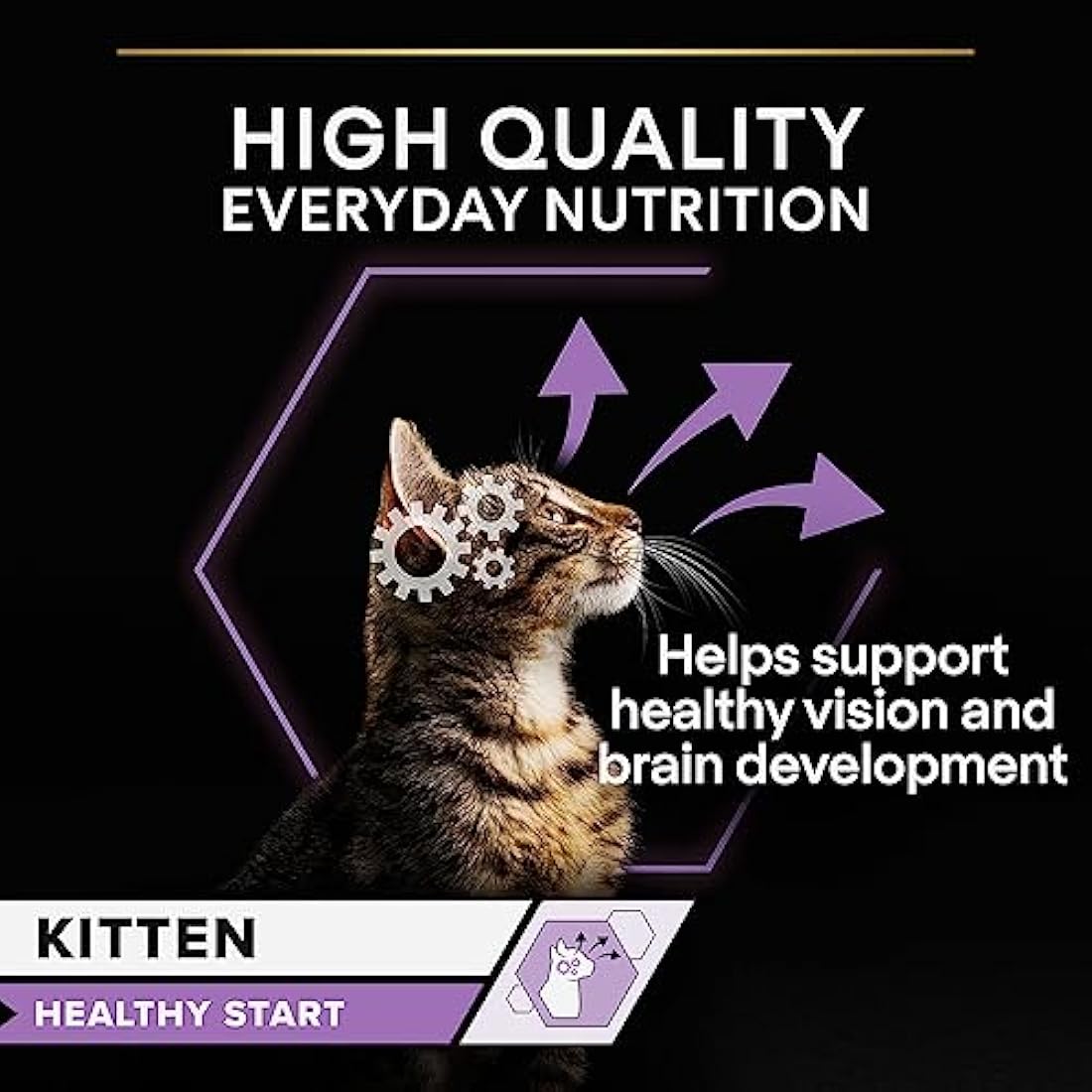 Purina Pro Plan Kitten Wet Cat Food – Turkey in Gravy 40 x 85g