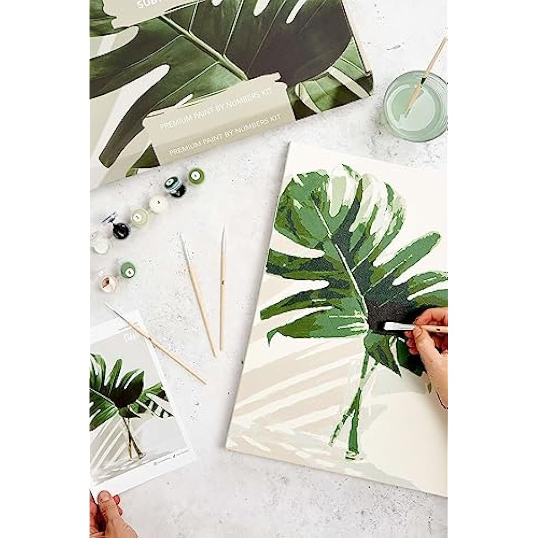 Dabble Paint by Numbers Kit for Adults - Floral Canvas with Acrylic Paint
