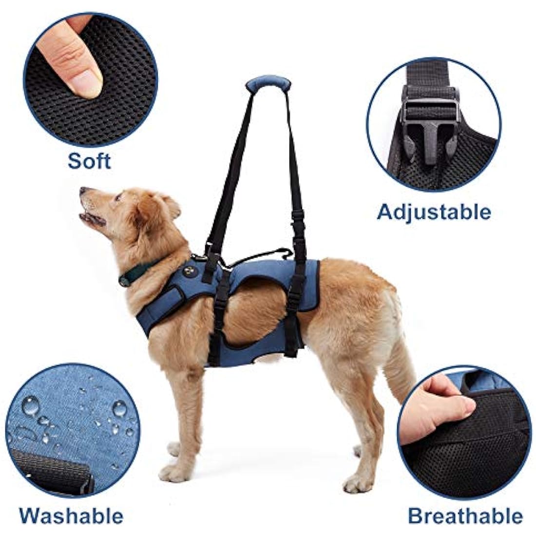 Coodeo Dog Lift Harness | Full Body Support & Recovery Sling for Large Dogs