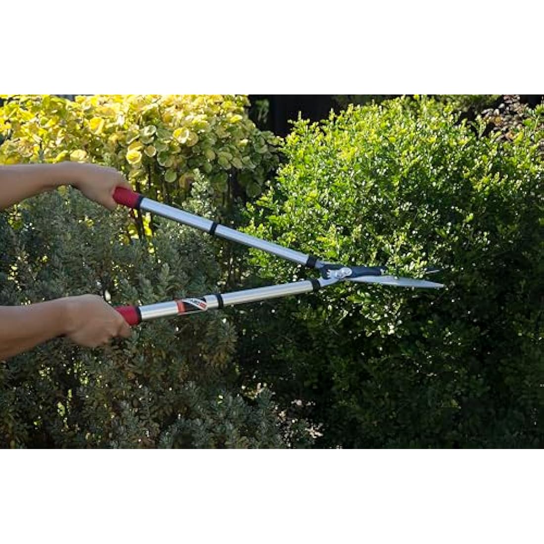 Kimura Pro Telescopic Hedge Shears – Extendable Japanese SK5 Steel