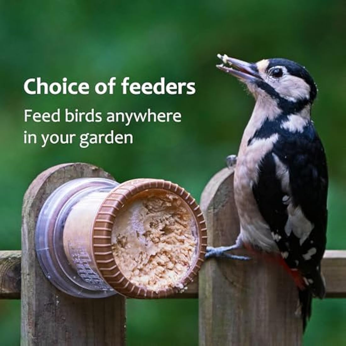 Jacobi Jayne Flutter Butter Buggy Peanut Butter Bird Food – 12 Pack Refills
