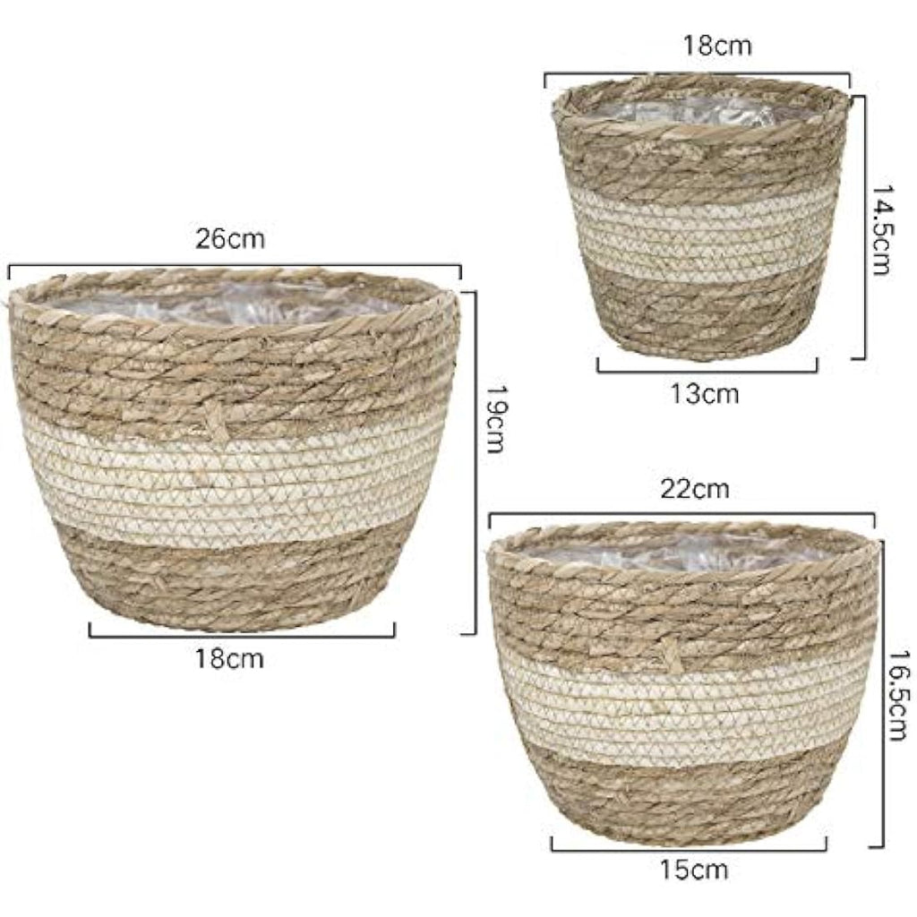La Jolíe Muse Seagrass Planter Basket - Handwoven Indoor Pots, 3-Pack