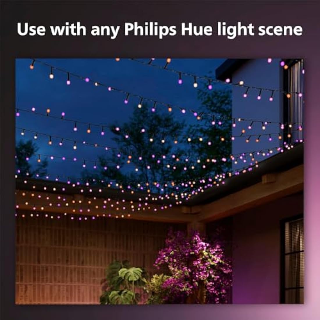 Philips Hue Festavia Smart LED String Lights – 250 LEDs | 20 Meter