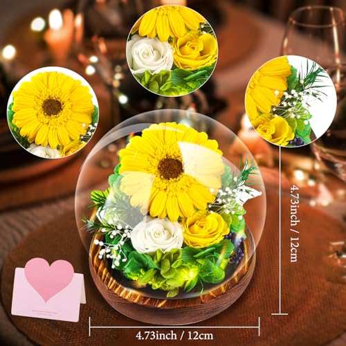 Preserved Sunflower in Glass Dome with LED Lights Gift Box