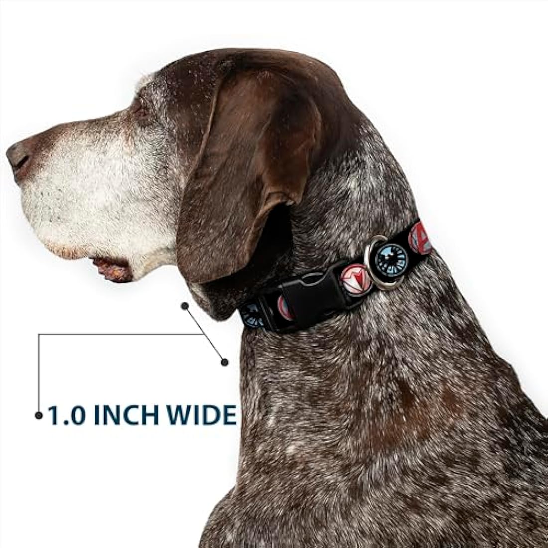 Buckle-Down Marvel Avengers Dog Collar – Large 1.5" Wide Plastic Clip