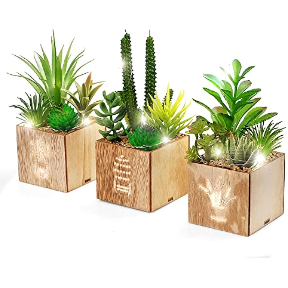 BEGONDIS Set of 3 Artificial Succulents with LED Lights in Wooden Box