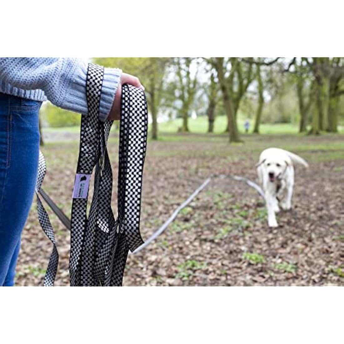 Chequered Dog & Horse Training Lunge Lead - 20M Heavy Duty