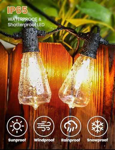 ZOTOYI 80FT Outdoor Festoon Lights | IP65 Waterproof 35 LED Garden String