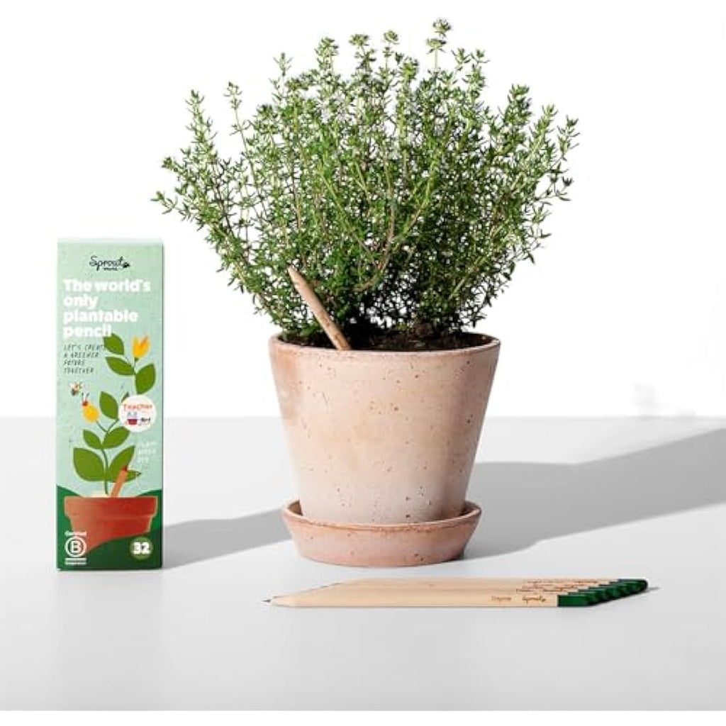 SproutWorld Plantable Pencils | Teacher's Edition 32-Pack | HB Graphite