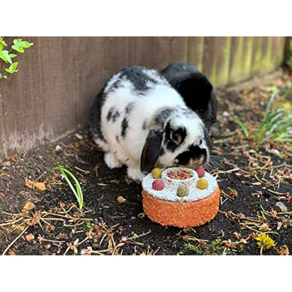 Rosewood Naturals Celebration Cake | Edible Small Animal Birthday Treat