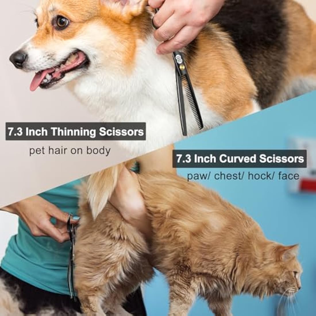 CIICII 10-in-1 Dog Grooming Scissors Kit | Professional Pet Shears Set