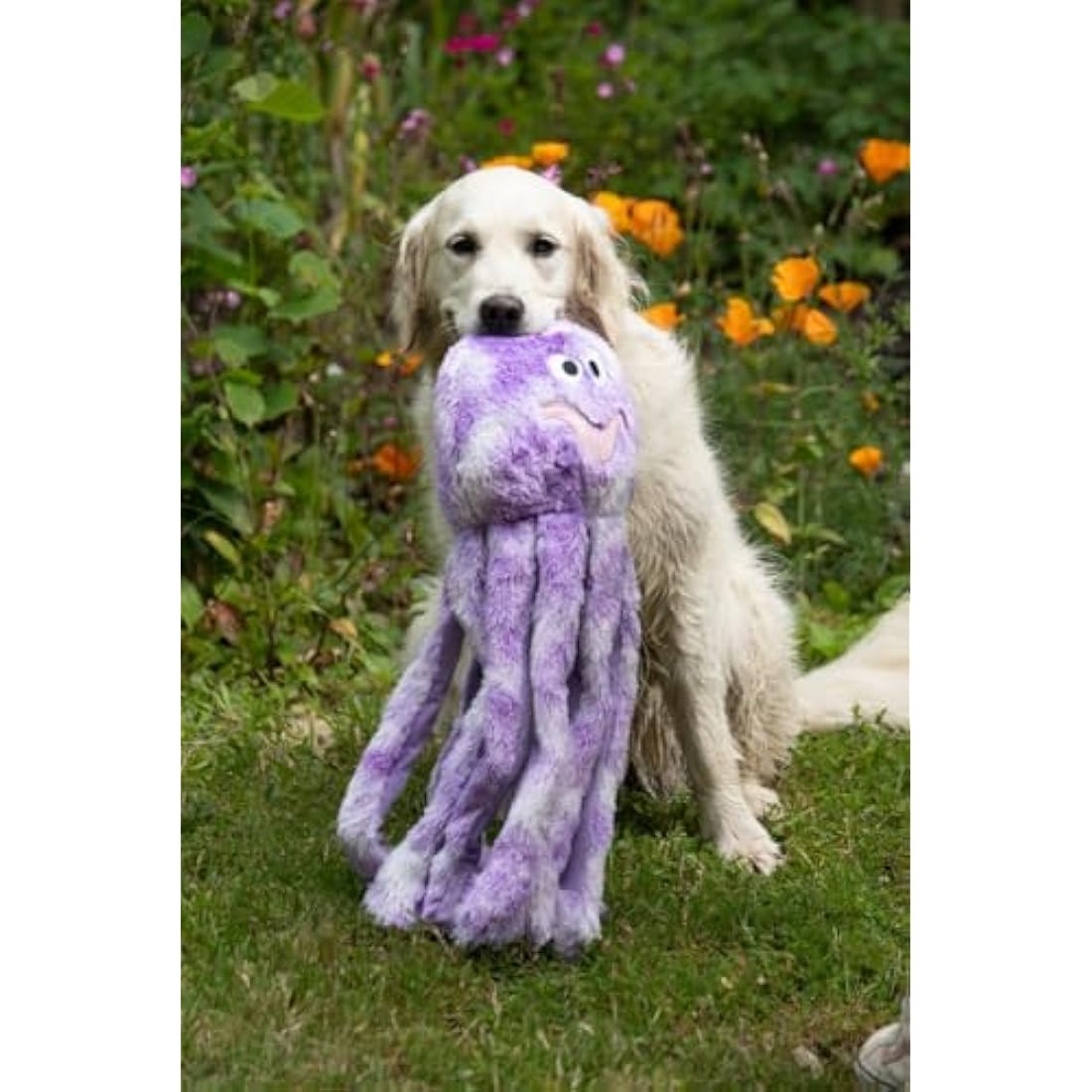 Petface Orla the Octopus Plush Dog Toy – Large Squeaky Interactive Toy