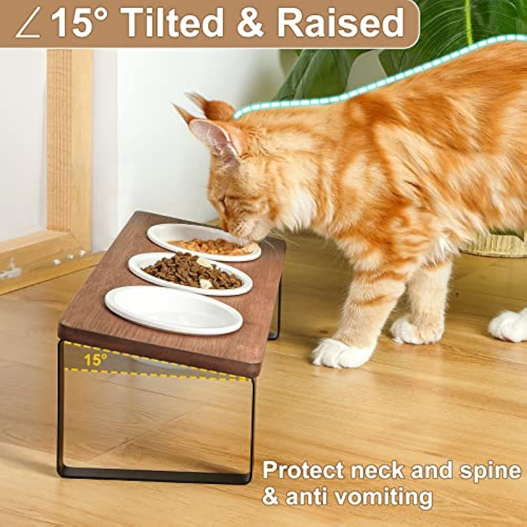 GUUSII HOME Raised Cat Bowl - Tilted Ceramic Elevated Feeding Station