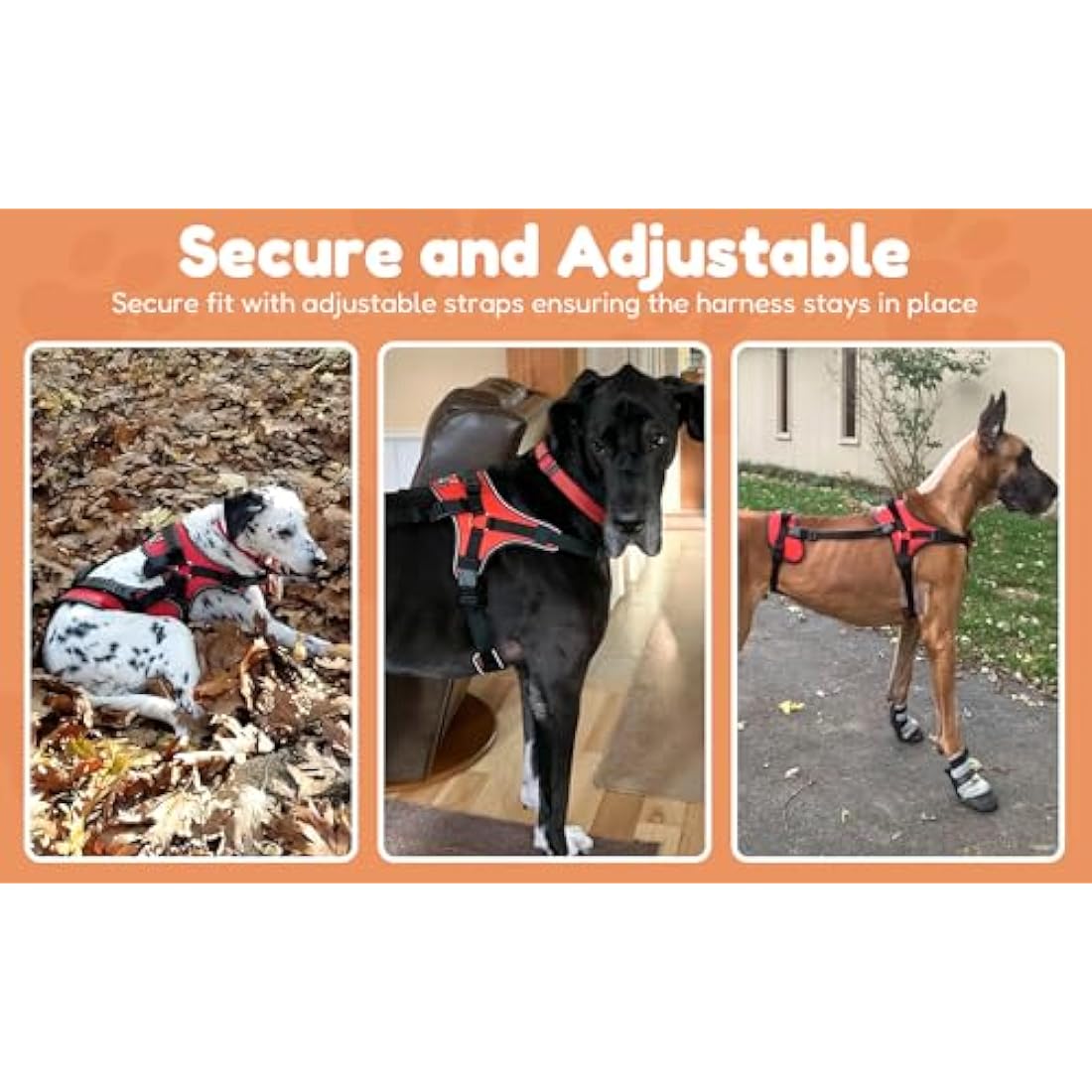 Doggie Stylz Full-Body Lifting Dog Harness | Multi-Functional Support – L
