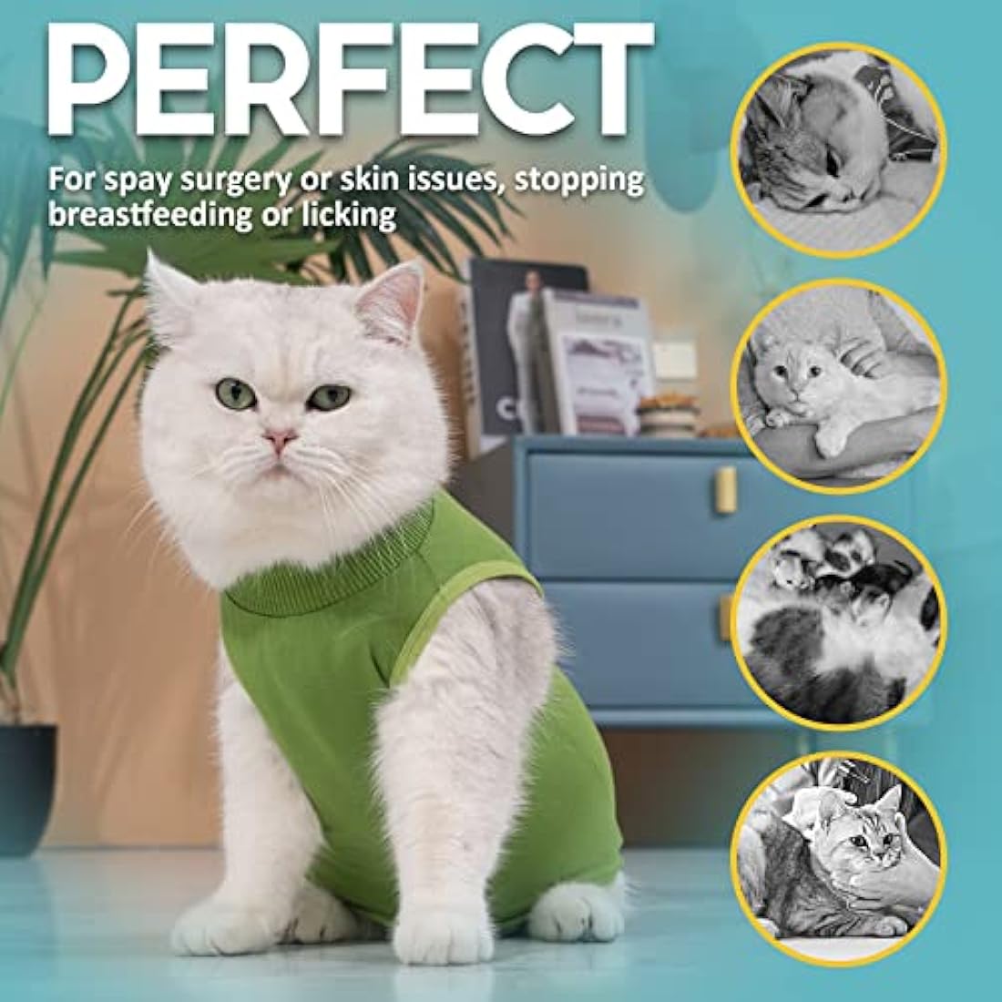 Avont Cat Recovery Suit | Breathable Post-Surgery Spay Shirt - Green (M)