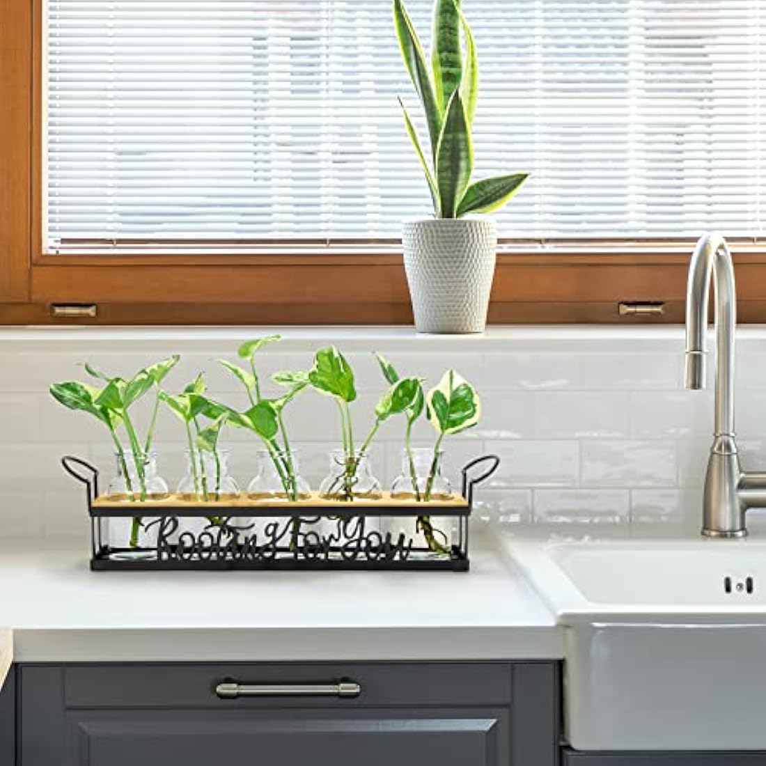THYGIFTREE Plant Propagation Station | Metal Stand Glass Terrarium