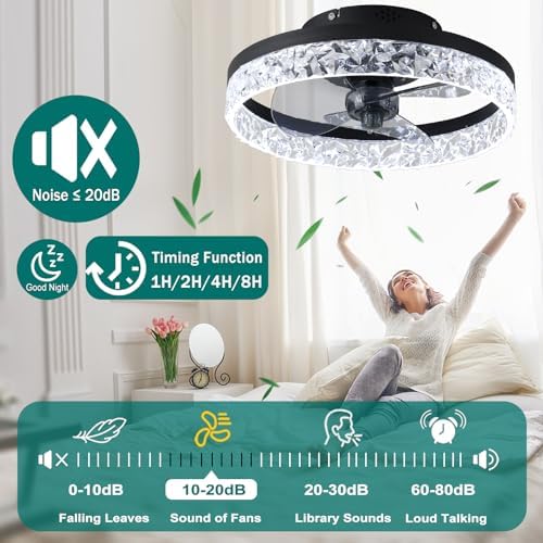 Modern Quiet Ceiling Fan with Dimmable LED Light – Black