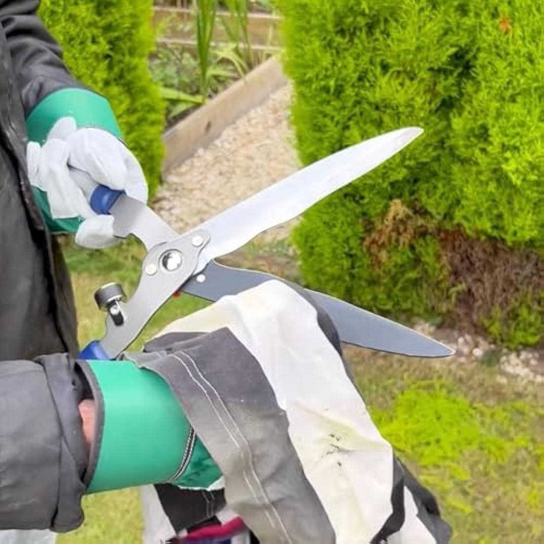 Spear & Jackson Telescopic Hedge Shears – Carbon Steel Blades, Blue