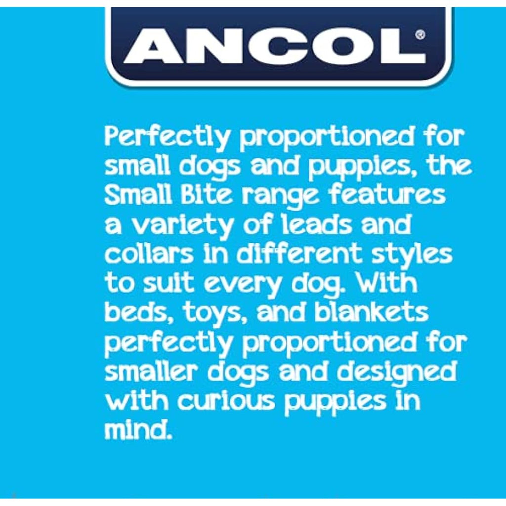 Ancol Small Bite Stars Puppy Collar and Lead Set - Blue Soft Webbing