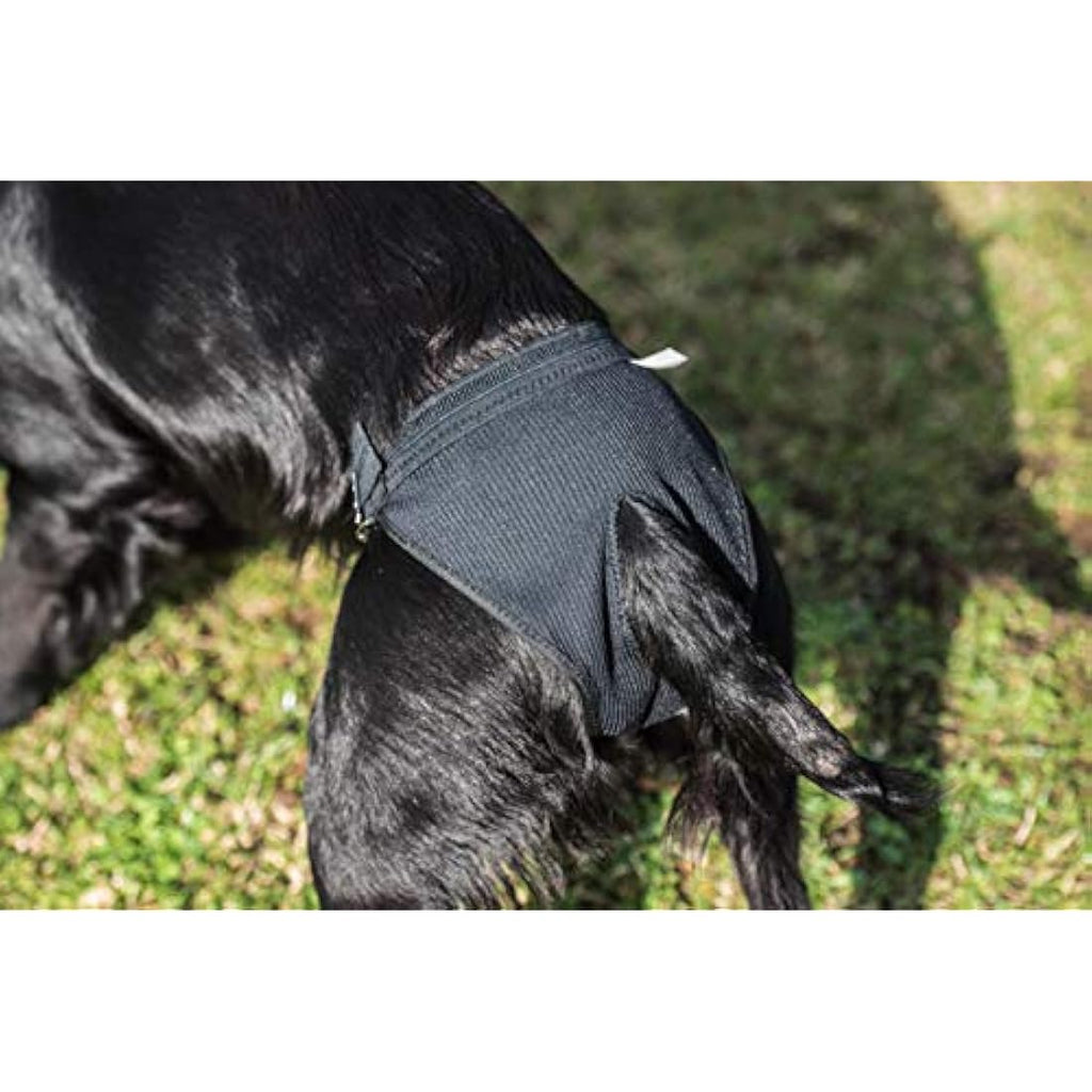 Mikki Dog Hygiene Pants - Large Reusable Heat Knickers for Bitches