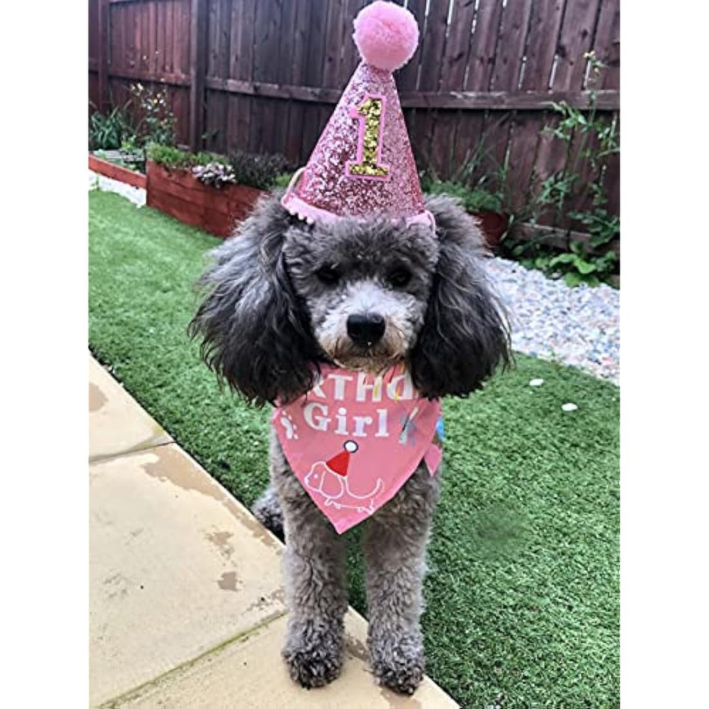 Dog 1st Birthday Hat and Bandana Set – Pink Pet Costume