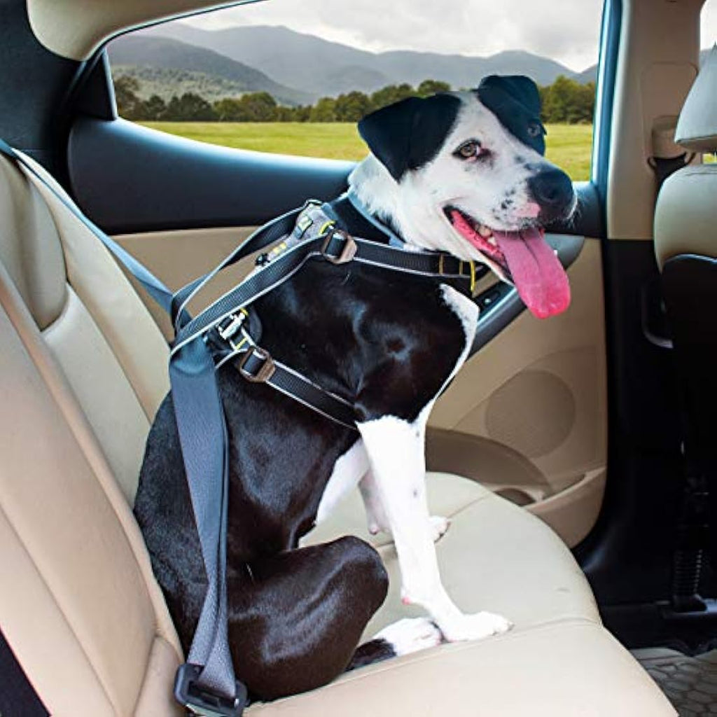 Kurgo Impact Crash Tested Dog Car Harness | Extra Large - Black/Charcoal