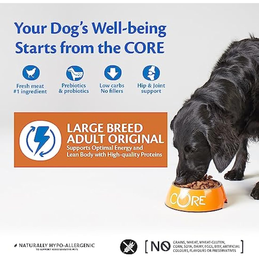 Wellness CORE Large Breed Dog Food – Grain-Free Chicken, 10kg