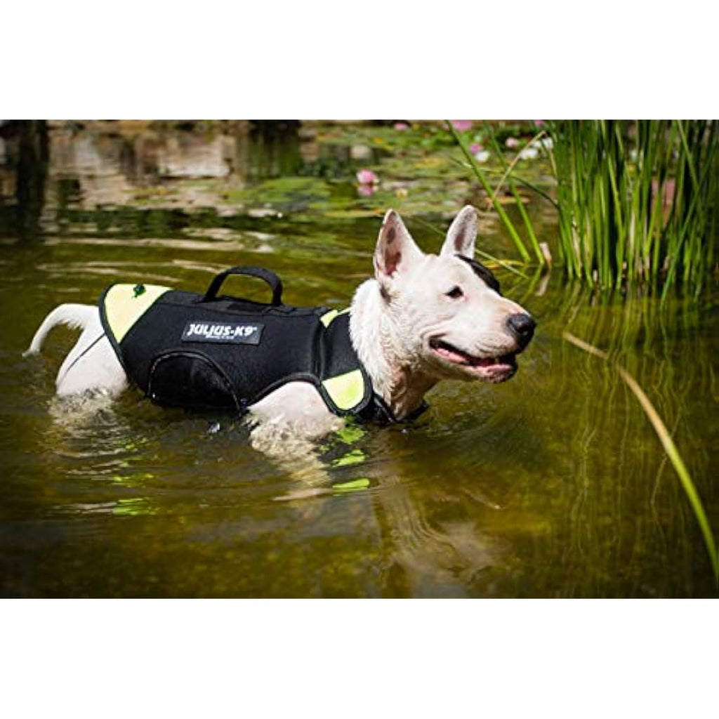 Julius-K9 IDC 3-in-1 Dog Vest | Swimming, Rehab & Winter Coat - Black/Neon