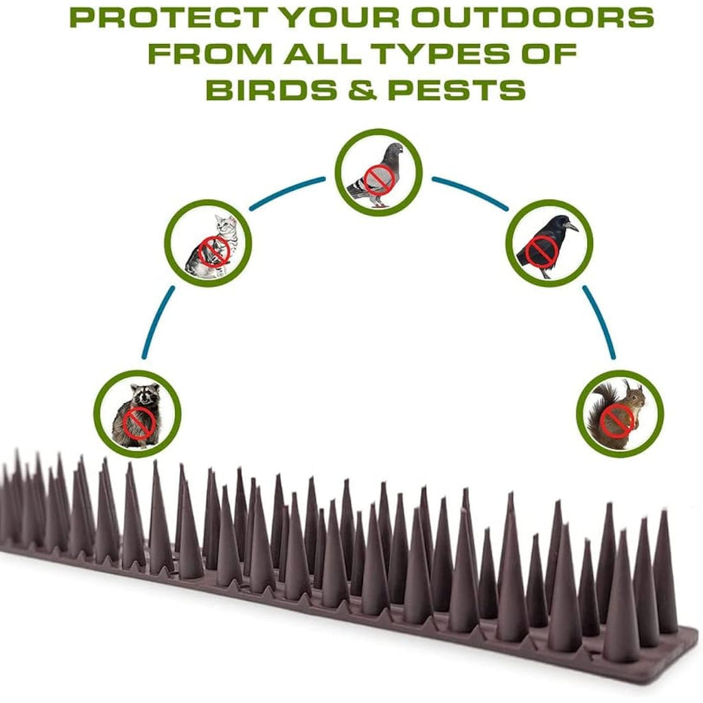 Jolof Store Wall & Fence Security Spikes – Anti-Climb Pest Deterrent