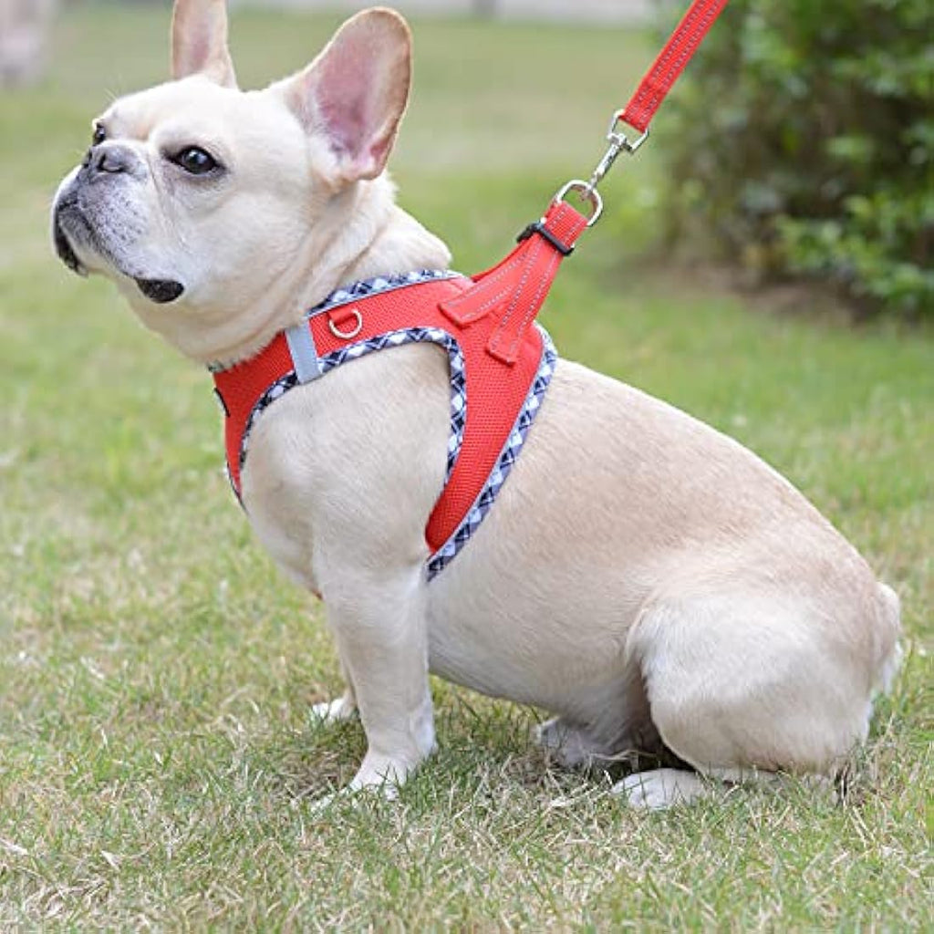 Step-in Dog Harness and Leash Set – Reflective Mesh Vest