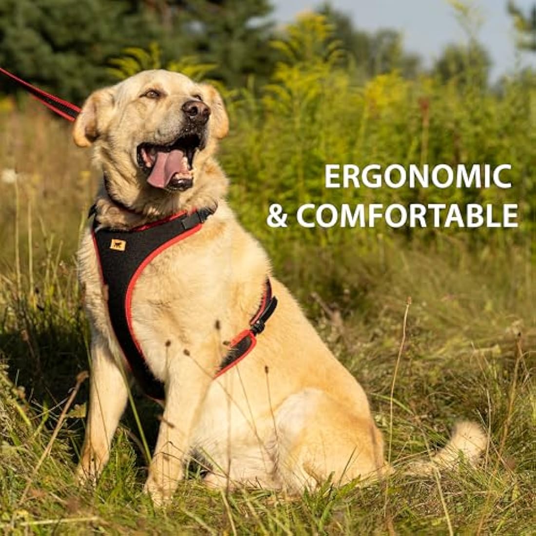 Ferplast Ergocomfort Medium Dog Harness | Padded Nylon - Red