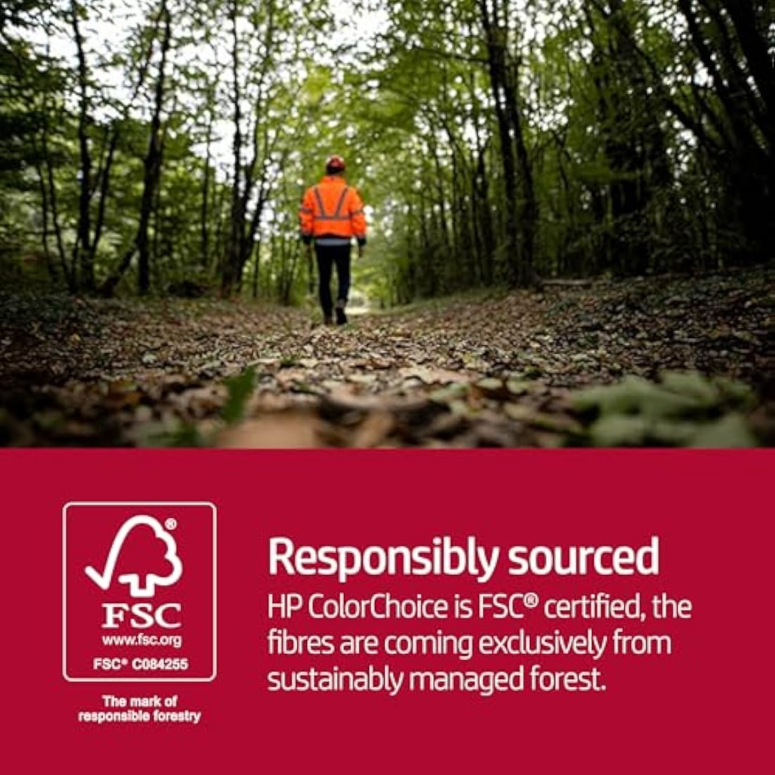 HP Color Choice A4 Paper 250gsm Heavyweight Cardstock - White (250 Sheets)