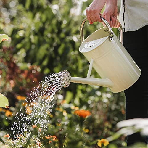 Kent & Stowe 4.5L Vintage Cream Watering Can | Galvanised Steel