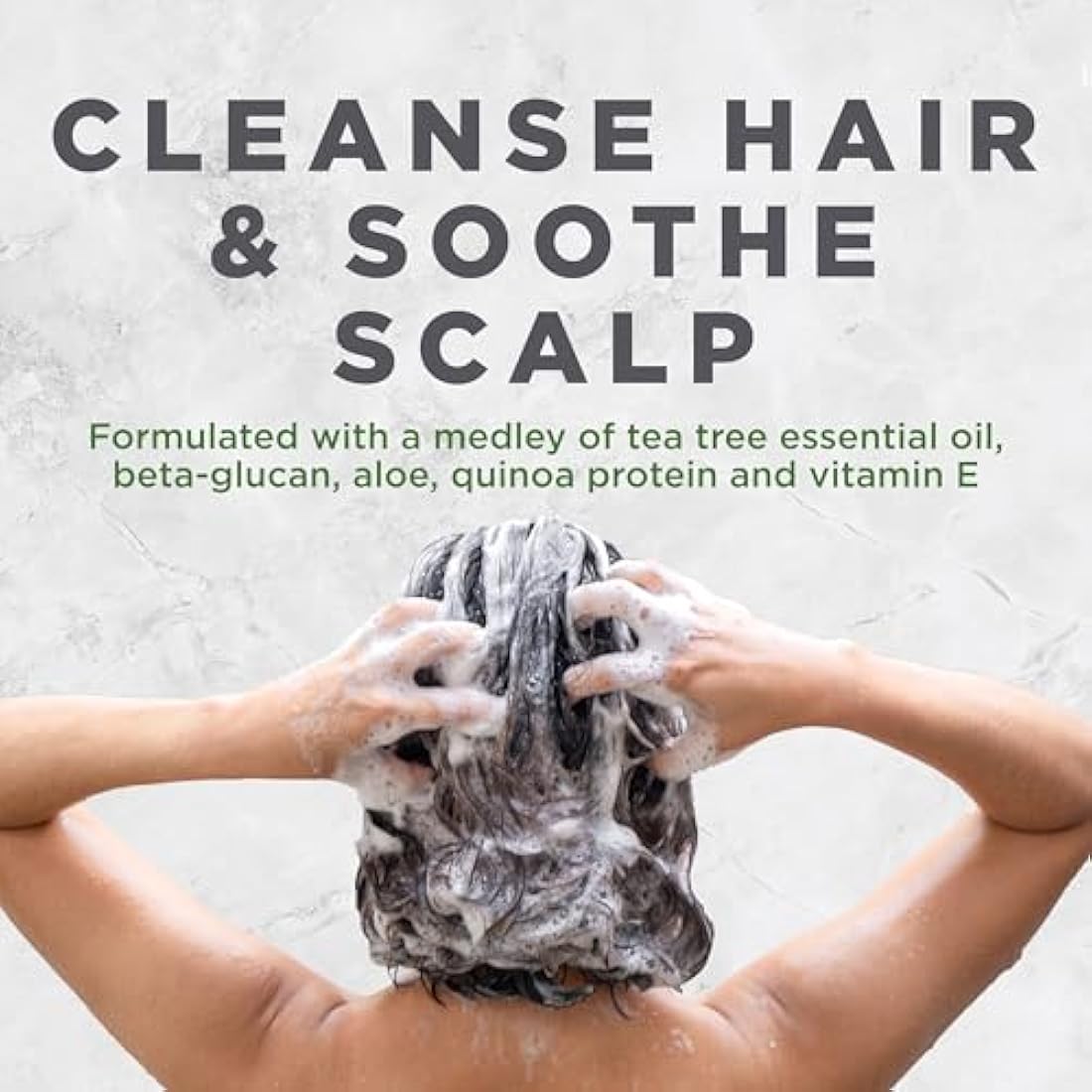 Avalon Tea Tree Scalp Treatment Shampoo – Soothing Hair Care, 325 ml