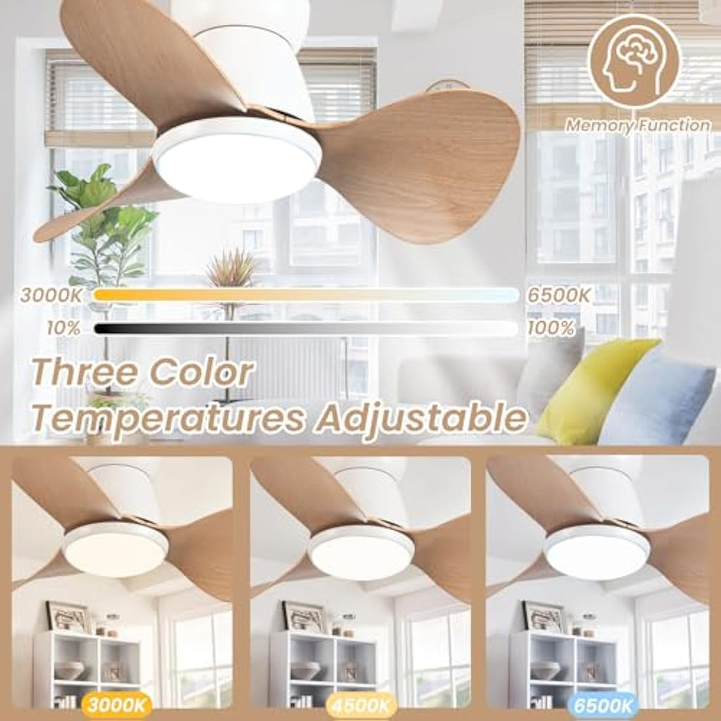 24" Mini DC Ceiling Fan with Light and Remote – 6 Speeds