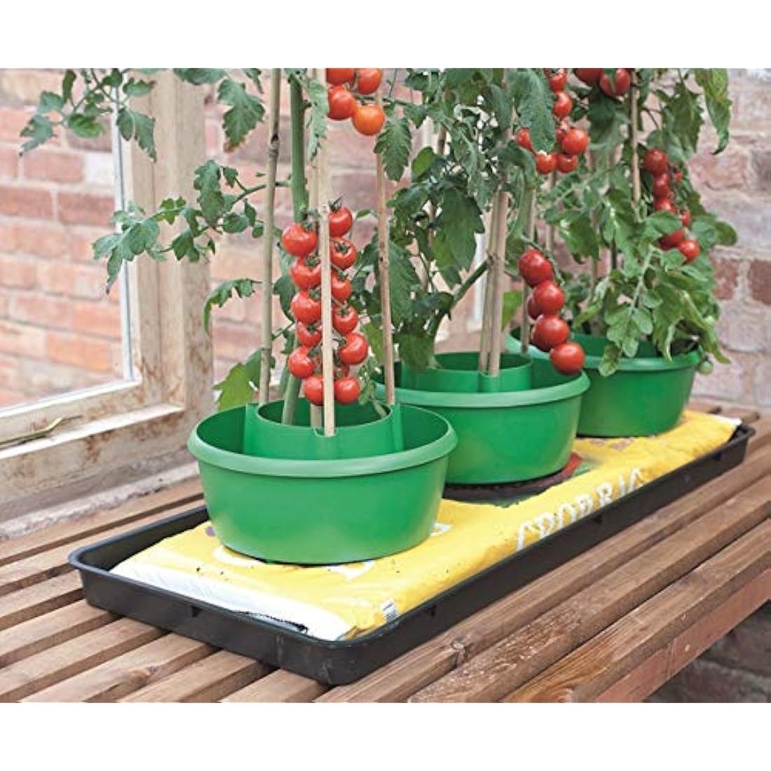 Jolof Store Plant Halo Self-Watering Pot and Crop Support System – Green