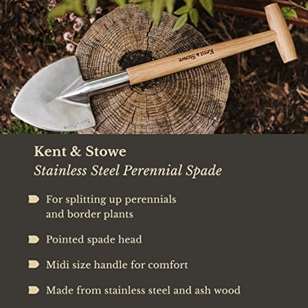 Kent & Stowe Stainless Steel Perennial Spade | Ash Wood Garden Tool