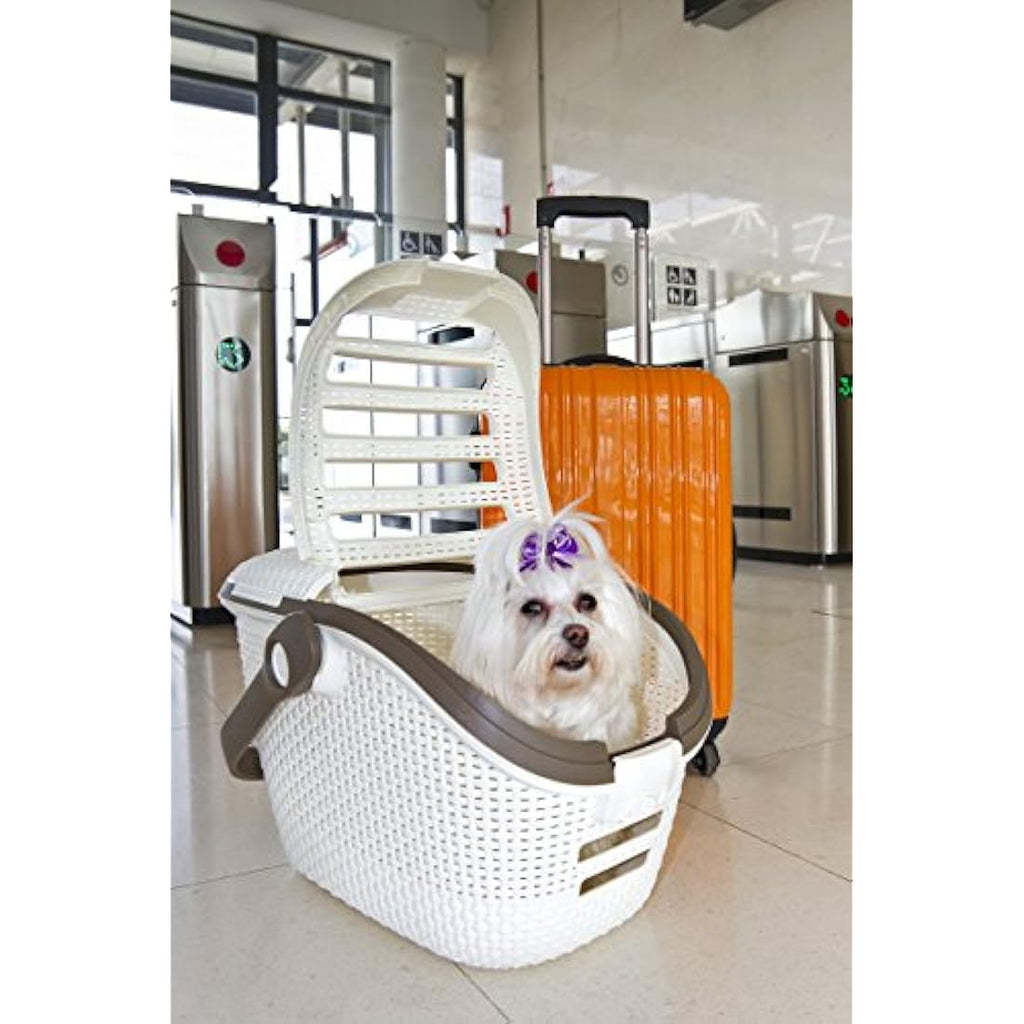 Curver Pet Carrier White – Ventilated Dog and Cat Travel Box, 51cm