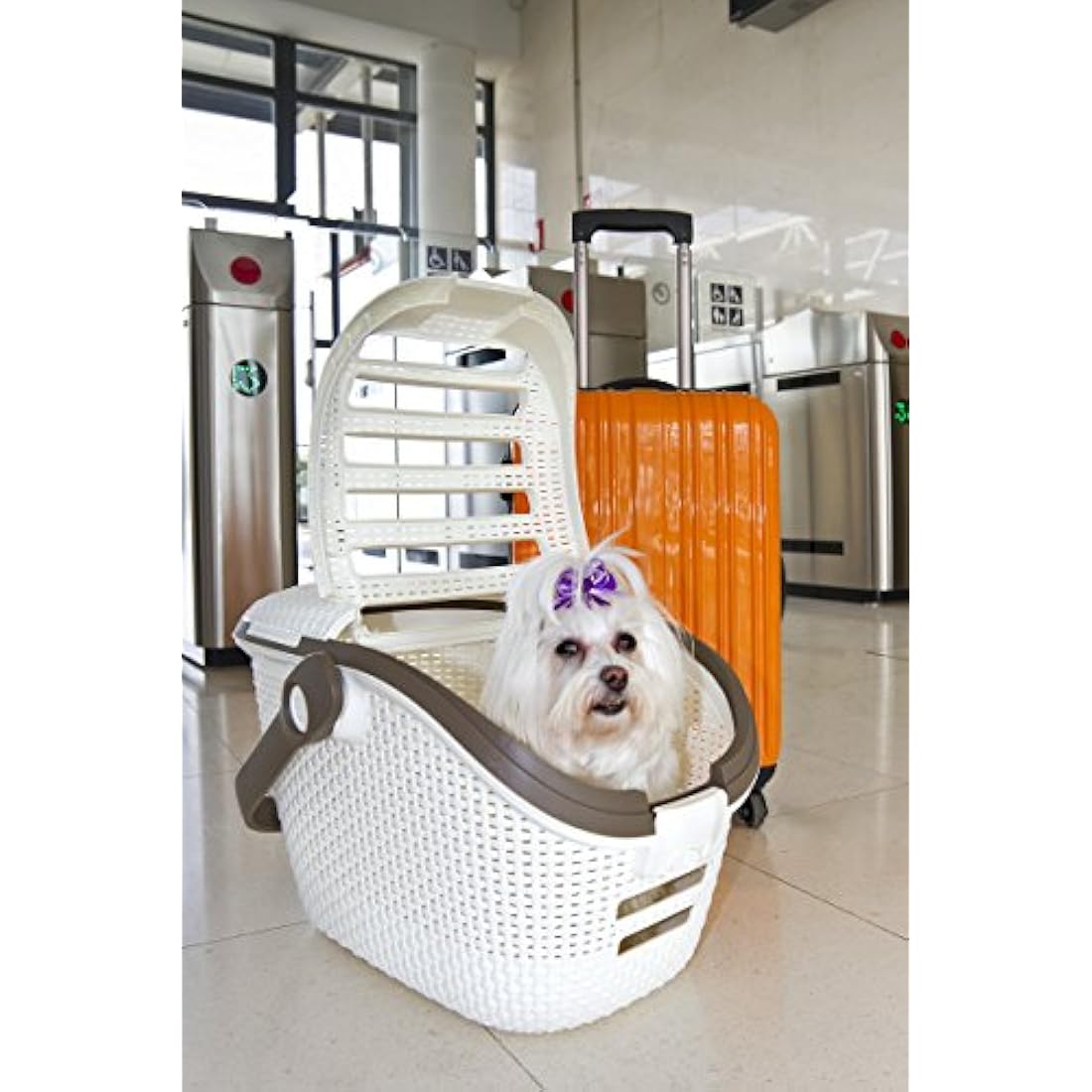 Curver Pet Carrier White – Ventilated Dog and Cat Travel Box, 51cm