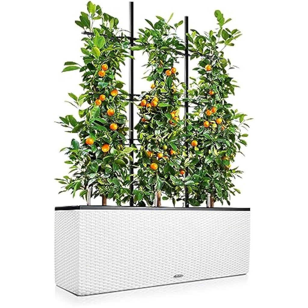 Lechuza Trio Cottage 30 Self-Watering Planter - White Wicker Plastic